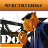 Аватар для DozoR.Lite Lvov